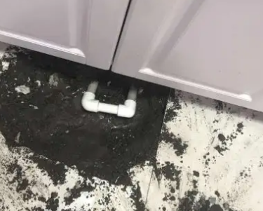 仙桃查漏水哪家好